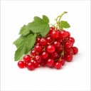 currant 3cc9f0d9 f265 4898 8aa1 27dd054e0291