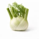 fennel 93f9a18e 4c3f 4a68 a5b6 b5426f756f69
