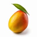 mango ae59f0c8 2c88 4a36 b1b8 52cc3d5d0d91
