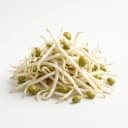 mung bean sprouts 1af8c40f d41f 4048 85cf 6f02bc2d3027