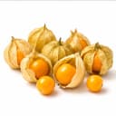 physalis a9775a72 7492 43be b995 b5609ec9183b