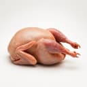 quail 2a5bbb54 4f0a 4fd1 94f1 1458ce33465d